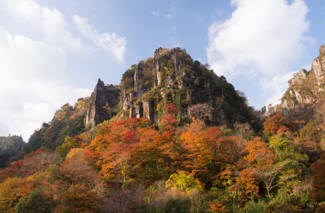 一目八景