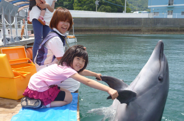 つくみイルカ島